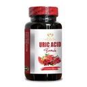 Generic Milk Thistle - URIC Acid Formula Advanced Complex - Cranberry, Pomegranate, and Turmeric, Green Coffee Beans, Herbal Blend, Joint Mobility, Uric Acid Balance - 1 Bottle
