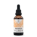 Horsetail Alcohol-Free Natural Tincture Extract, Immune System Booster, Liquid Drops Made from 100% (2 fl oz)