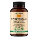 Thyroid Support Supplement with Iodine, Ashwagandha & Kelp – Supports Energy, Metabolism & Hormone Balance Formula – Selenium, Zinc & L-Tyrosine – Natural Thyroid Health (Pack of 2)