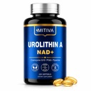 Urolithin A 1000MG Supplement with NAD+, CoQ10 & PQQ, 120 Softgels | MuAntioxidants and Mitochondrial Support for Vitality and Healthy Aging – Focus & Muscle Recovery for Men and Women