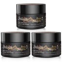 Shilajit Purest Himalayan Organic Shilajit Resin - Gold Grade 100% Reinheit Shilajit mit Fulvic Acid & 85+ Trace Minerals Complex for Energy & Immune Support, Pack of 3 (6 Monate Versorgung)