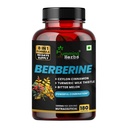 Humming Herbs Berberine Supplement 1300 Mg 8in1 Formula with Ceylon Cinnamon, Milk Thistle, Curcumin, Bitter Melon & Probiotics Red Yeast Rice, Gymnema Sylvestre - 180 Vegan Capsules
