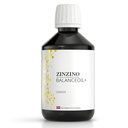 ZINZINO - BalanceOil+ Lemon Omega-3-300 ml | Contains Wild-Caught Fish Oil, Extra Virgin Olive Oil, EPA & DHA, Polyphenols, And Vitamin D3 For Daily Nutrition