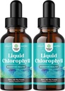 Mint Flavored Chlorophyll Liquid Drops - Vegan Liquid Chlorophyll Tropfen für Immununterstützung Gut Gesundheit Hautpflege Detox Liver Unterstützung Energie und Bad Breath - High Potency intern Deodorizer - 2 Pack