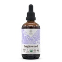 Bugleweed Alcohol-Free Natural Tincture Extract, Immune System Booster, Liquid Drops Made from 100% USDA Organic Bugleweed (Lycopus virginicus) Dried Herb (4 fl oz)