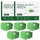 Japanese Herbal Balance Patch - Snatch Patches with Mugwort, Ginger, Angelica, Astragalus & Lotus Leaf - Supports Waist Comfort & Smoother Appearance, Daily Body Care, 2 Boxes