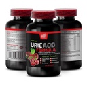 Green Coffee Bean for Uric Acid, Pomegranate Extract for Uric Acid, Uric Acid Healing Formula, Devil’s Claw Root for Uric Acid, Uric Acid Reducing Ingredients, Uric Acid Control with Devil’s 1Bot
