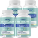 Probiotika für Frauen und Männer, 300 Billion CFU 24 Strains Probiotics + 15 Bio Kräuter Präbiotika Mischung, Regal Stable Gut Health Supplement für Verdauungs-Impfstoff & Ganzkörper-Gesundheit, 8 Monate Versorgung