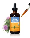Herb Pharm Milk Thistle Seed Extract für Leberfunktion Unterstützung - 4 Unze (DMILK04)