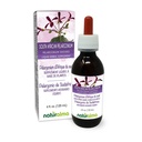 Naturalma Südafrikanisches Pelargonium oder Umckaloaba (Pelargonium Sidoides) Root Alcohol-Free Tincture - 4 fl oz Flüssiger Extrakt in Tropfen - Kräuterergänzung - Vegan
