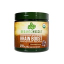 Bio Muscle Brain Boost Nootropics Blend - Vegan & Bio-Superfood-Gesundheitsergänzungsmittel für Fokus, Gedächtnis &amp; Produktivität mit Ashwagandha, Ginkgo & Ginseng - Schokoladengeschmack, 20 Portionen