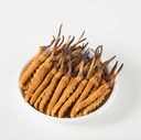 Wild Cordyceps, Ganzer Himalyan Cordyceps Sinensis Pilz, Genuine und sehr selten, High Grade, Boost Energy, Reduzieren Stress für Männer und Frauen, 5 Gramm (13+17pic) aus Lamjung Nepal Keeda Zadi