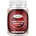 High Strength Hawthorn Berry Capsules - Pure Antioxidant Hawthorn Berry Supplement mit Blatt &amp; Blume Extrakt 4:1 für Herzgesundheit & Verdauung - Energieunterstützung für Männer & Frauen - 120 Count Pack