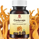 Cordyceps Kapseln, Pilzextrakt Ergänzung Pulver mit 31% Beta Glucan für Leistung, Energie und Immunsystem Unterstützung, 700mg, 60 Count, Organic und Vegan