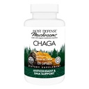 Host Defense Chaga Kapseln - Immunsystem-Supplement - Chaga Mushroom Kapseln für Antioxidante Aktivität Unterstützung - Nahrungsergänzungsmittel - 120 Kapseln (60 Servietten)*