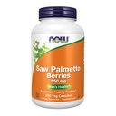 JETZT Nahrungsergänzungsmittel, Saw Palmetto Beeren (Serenoa repens) 550 mg, Men's Health*, 250 Veg Kapseln