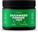 VINATURA Duckweed Powder - Duckweed Supplement, Superfood Digestive Gesundheit, Fiber-Superfood Pulver von Wolffia Globosa