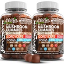 15in1 Mushroom Gummis mit Lion's Mane Türkei Tail Cordyceps Reishi Chaga Sweet Toot Maitake Meshima Poria Cocos Shiitake Tremella, Oyster Agaricus Pilze für Männer und Frauen Beilage - 2Pack