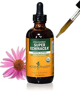 Herb Pharm Certified Organic Super Echinacea Liquid Extract für aktive Immunsystemunterstützung - 4 Oz