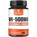 NAD+ Ergänzung mit Nicotinamid Riboside 500mg - Cellular Energy & Repair, Healthy Aging, Wellness - 90 Kapseln - 3 Monate Versorgung