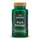 Swanson Pure Energy Metabolism Konzentration Fokus Unterstützung Stress Management Adaptogene Kräuter Kräuter Ergänzung 60 Veggie Kapseln (Veg Caps) Vegan