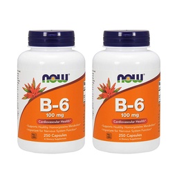 JETZT Vitamin B-6 100mg,250 Kapseln (Pack von 2)