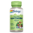 SOLARAY Hawthorn Berry Capsules 1050 mg - beruhigende Kräuterunterstützung - Hawthorne Berry Supplement für allgemeine Wellness-Unterstützung - Ganze Berry, Vegan, Non-GMO, 60 Tage Garantie, 50 Portionen, 100 VegCaps