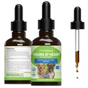 Pet Wellbeing Young at Heart for Dogs - Herzgesundheit, Kreislauf- & Herz-Kreislauf-System, Hawthorn, Mutterwort, Schisandra - Veterinär-Formulierte Kräuterergänzung 2 fl oz (59 ml)