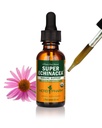 Herb Pharm Certified Organic Super Echinacea Liquid Extract für aktive Immunsystemunterstützung - 1 Unze (DSUPER01)