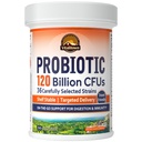 Vitalitown Probiotics 120 Billion CFUs, 36 Strains, Präbiotika, Verdauungsenzyme für Männer Frauen, verzögerte Freisetzung, Regal stabil, Auf der Go Digestive Unterstützung, 30 Veg Caps