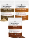 Real Mushrooms Peak Performance Bundle - Lion's Mane + Reishi + Cordyceps-M Zertifizierte Bio Pilzpulver für Vitalität, Immunität & Langlebigkeit