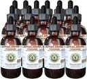 Hawaii Pharm Yohimbe Alkoholfreie Flüssigextrakt, Yohimbe Flüssigkeit (Pausinystalia Yohimbe) Getrocknete Bark Glycerite natürliche Kräuterergänzung, USA 15x4 fl.oz