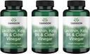 Swanson Lecithin Kelp B-6 & Cider Essig 240 Tabs (3 Pack)
