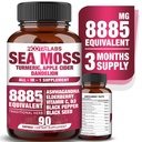 All-in-1 8885mg Höchste Potency Sea Moss, Black Seed, Ashwagandha, Turmeric, Apple Cider Essig, Dandelion mit Elderberry, Vitamin C & D3 - Immune, Energy Support Supplement - 90 Vegan Kapseln