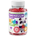DR. MORITZ Sugar-Free Calm Magnesium Gummi für Kinder und Erwachsene - Non-GMO Kids Magnesium Gummi - Raspberry Flavor - 1-Pack (60 Count)