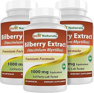 Best Naturals Bilberry 1000 Mg 90 Kapseln (90 Count (Pack von 3))