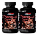Pillen für Männer sex lang und stark - TRIBULUS TERRESTRIS EXTRACT 1000MG - MUSCLE STRENGTH, männliche Fruchtbarkeit Booster, männliche Libido Pillen, männliche Sex Pillen, männliche Verbesserung, Ausdauer Booster, 2B 120 Tabletten
