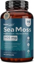 Sea Moss | Irish Sea Moss Capsules mit Bladderwrack, Burdock Root & BioPerine für Absorption. Präbiotische und Immununterstützung | 90 Tage Versorgung - 180 Kapseln