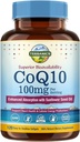 Terranics CoQ10 100mg, 120 Softgels, Absorption mit extra nativem Olivenöl, Herzgesundheit & Energieproduktion