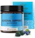 HERBAMAMA Adrenal Support Gummis - Pure Adrenal Complex Supplement für Damen mit Ashwagandha Root, Rhodiola Rosea & Magnesium - Vegan, Non-GMO - 60 Pectin-Based Blueberry-Flavored Chews