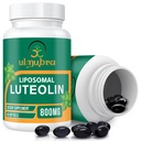 800 MG Liposomal Luteolin Beilage - Maximale Absorption, Premium Antioxidantien Beilage für Brain & Overall Well-Being, 60 Softgels - 30-Tage Versorgung