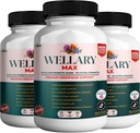 Wellary Max Menopause Support Supplement, 40 Billion CFU Probiotic Blend, 90 Kapseln (3)