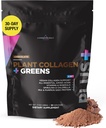 Livingood Daily Plant Collagen + Greens Powder, Chocolate, 5-in-1 Collagen Unterstützung mit Pea Protein, Aminosäuren, Spirulina, Chlorella & Vitamin C, Haarhautnägel Unterstützung, Vegan, 30 Servietten