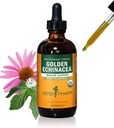 Kräuter Pharm Certified Organic Golden Echinacea Flüssiger Extrakt für Immunsystem Unterstützung - 4 Unze