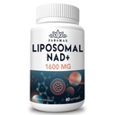 1600 mg Liposomal NAD Ergänzung, 98% reine NAD+ Ergänzung, Überlegene Absorption, Alternative zu Nicotinamid Riboside oder NADH zu erhöhen NAD+ für Aging Defense, Energie, Langlebigkeit,60 Softgels
