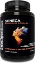 Intelligent Labs Seneca Nootropic Brain-Supplement | Focus, Memory & Clarity | 18 Brain-Boosting Zutaten | B-Komplexe Vitamine, Lion’s Mane & Ashwagandha | Koffein & Stimulant Kostenlos