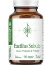 Bacillus Subtilis Spore Based Probiotic — High Potency Strain mit Prebiotic für Balanced Belly | Daily Gut Health & Microbiome Unterstützung für Familie | 6 Billion CFU pro Tag | 90 Vegetarische Kapseln