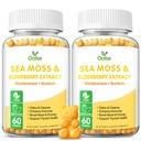 Sea Moss Gummi für Erwachsene und Kinder, 2000mg Raw Seamoss, Bladderwrack, Burdock Root, Elderberry, Pfeffer, Vitamin C & D3, Zink unterstützt Immunsystem & Boost Energy (2-Pack)