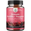 Fruchtbarkeitsergänzung für Frauen mit pränatalen Multivitaminen - Weibliche Fruchtbarkeitsunterstützung mit pränataler Choline Inositol Folate Chasteberry und CoQ10 Fruchtbarkeitsmischung für Frauen zur Förderung schnellerer Konzeption