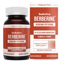 SoActive Berberine 550mg: 9.6X Höhere Absorption, Klinisch untersucht, Optimiert Phytosome | Unterstützt Metabolismus & AMPK Aktivierung | Non-GMO, Soy-Free | Klinisch validierte Dosierung | 60 Servierungen